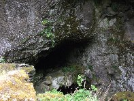 otta Intraleo-20100515 016